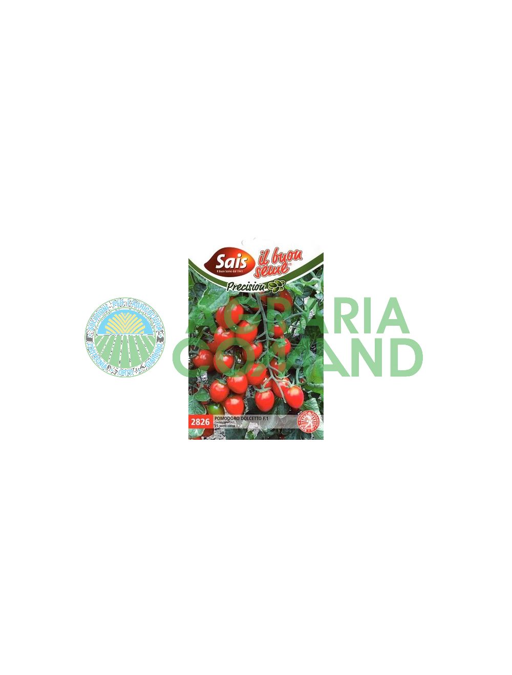 Tomate_daterino_dolcetto Tomate_daterino_dolcetto