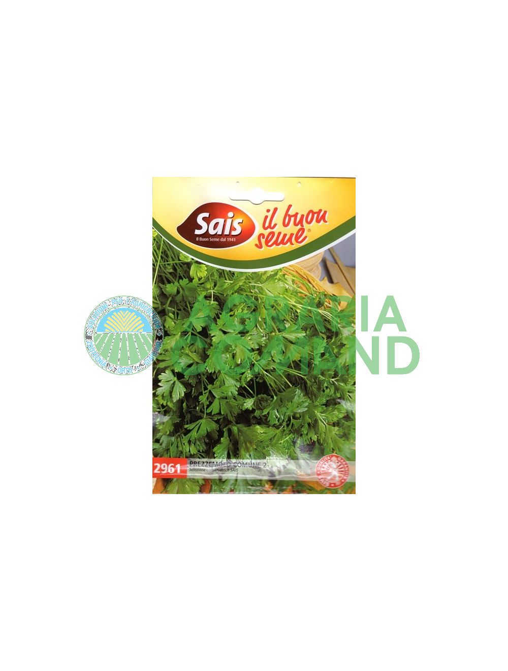 Persil commun Persil commun