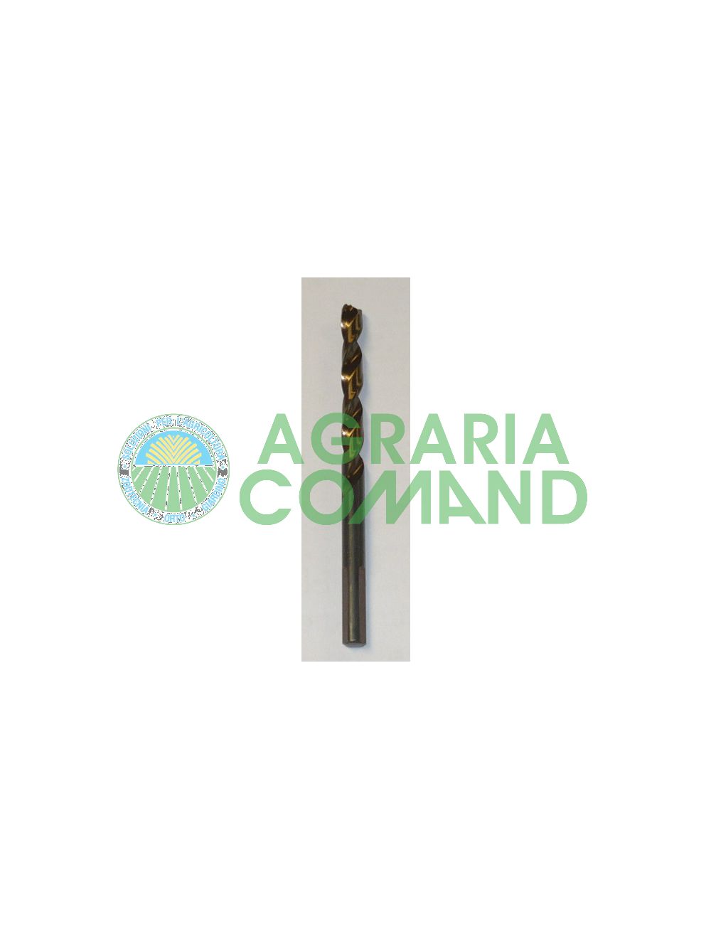 Pointe de 5,5 mm Pointe de 5,5 mm