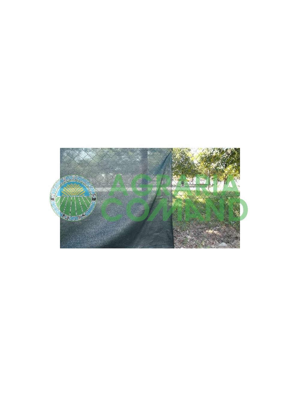 Arrigoni sightbreak net Arrigoni sightbreak net