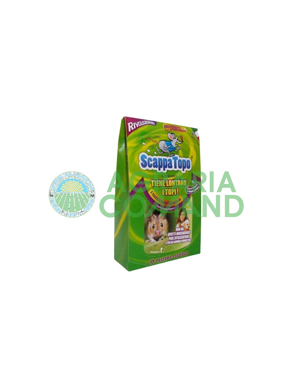 Échappée de base Échappée de base