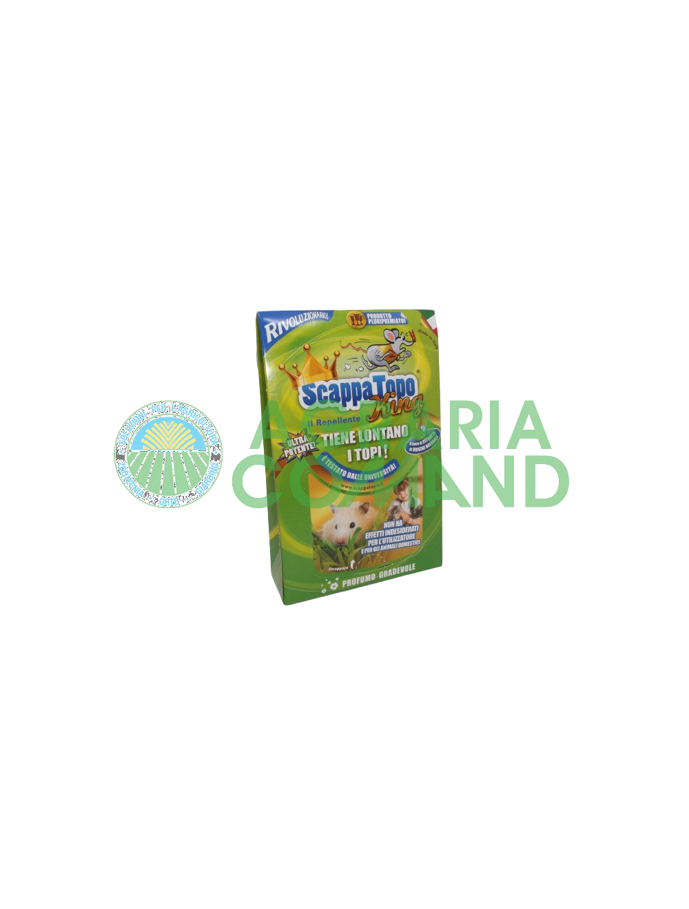 roi en fuite roi en fuite