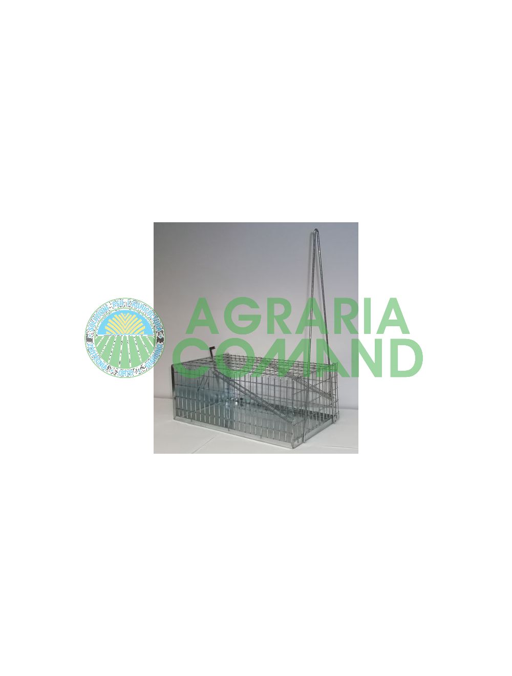 Piège à souris Piège à souris