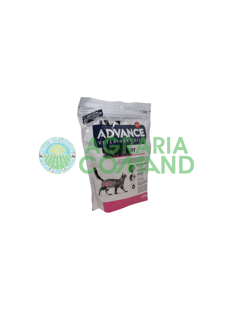 Chat urinaire Avance Chat urinaire Avance