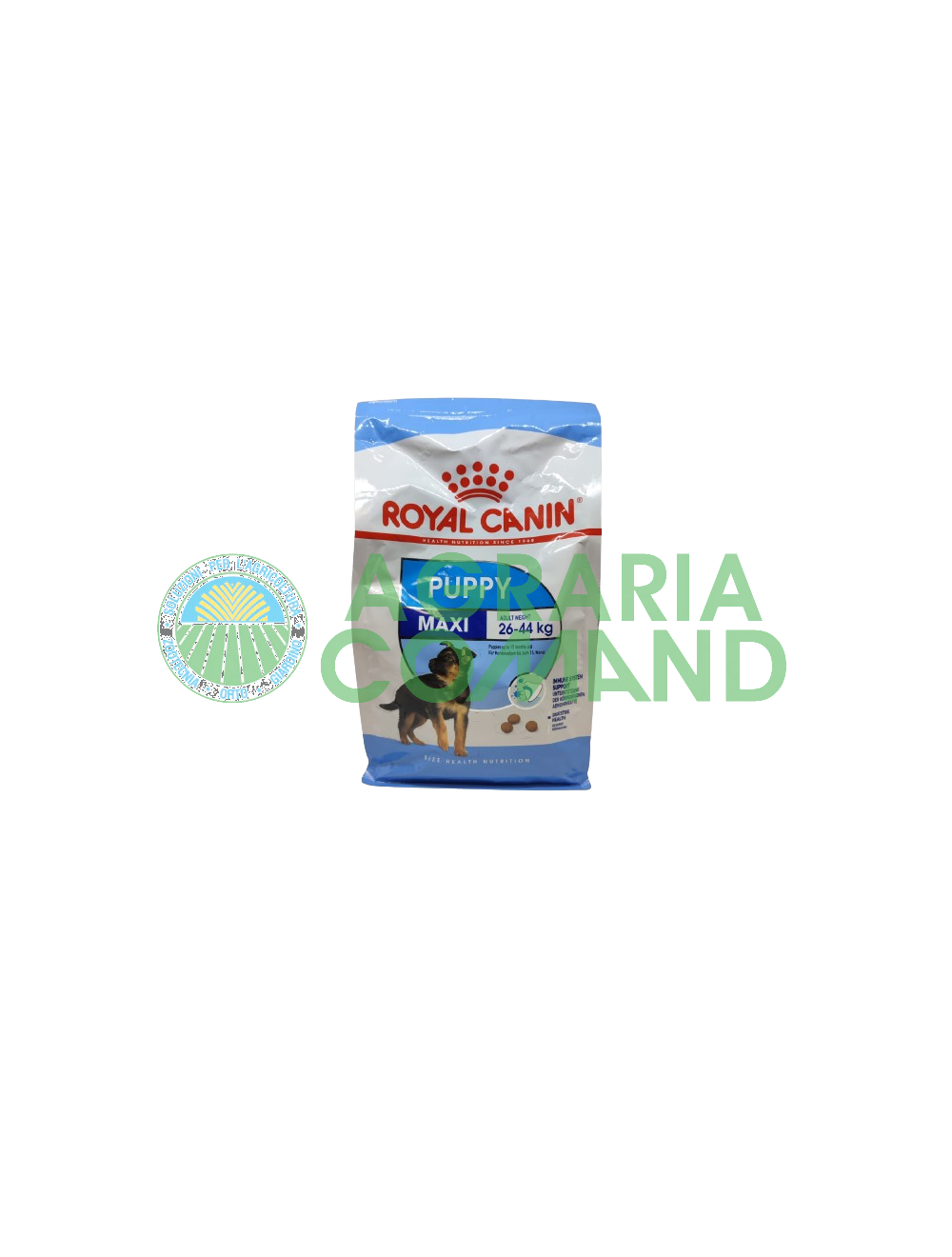 Chiot Maxi Royal canin