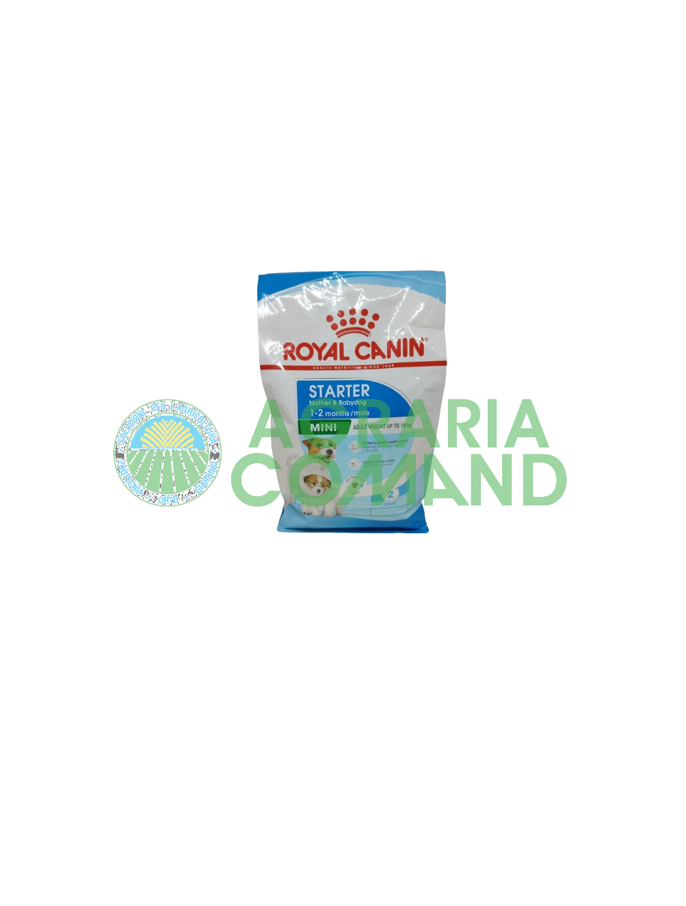Démarrage MINI Mère et bébé chien Démarrage MINI Mère et bébé chien