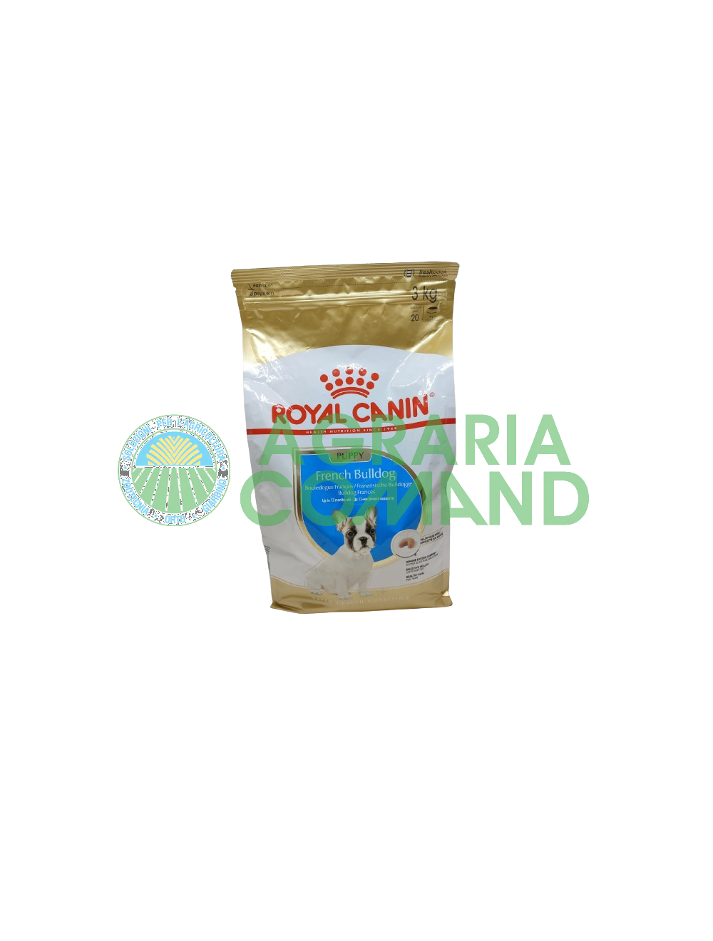 Chiot bouledogue français 3 kg