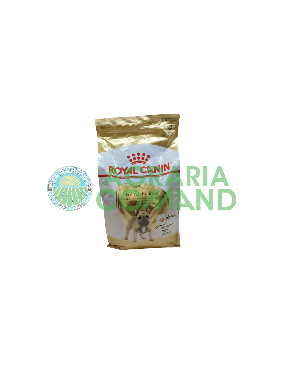 Bouledogue français > 12 mois