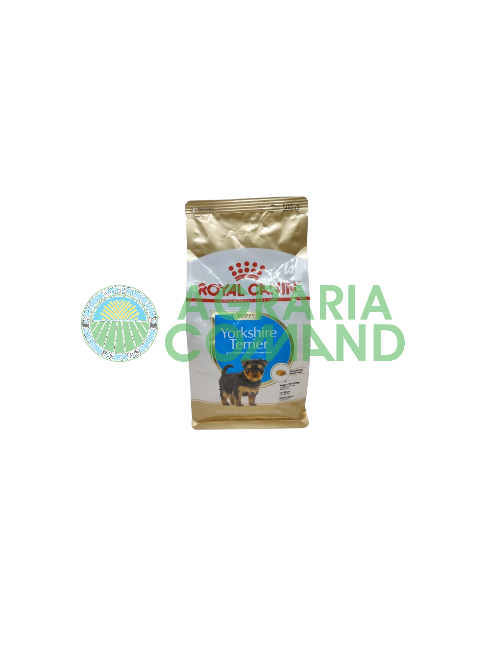 Chiot Yorkshire Terrier 500gr Chiot Yorkshire Terrier 500gr