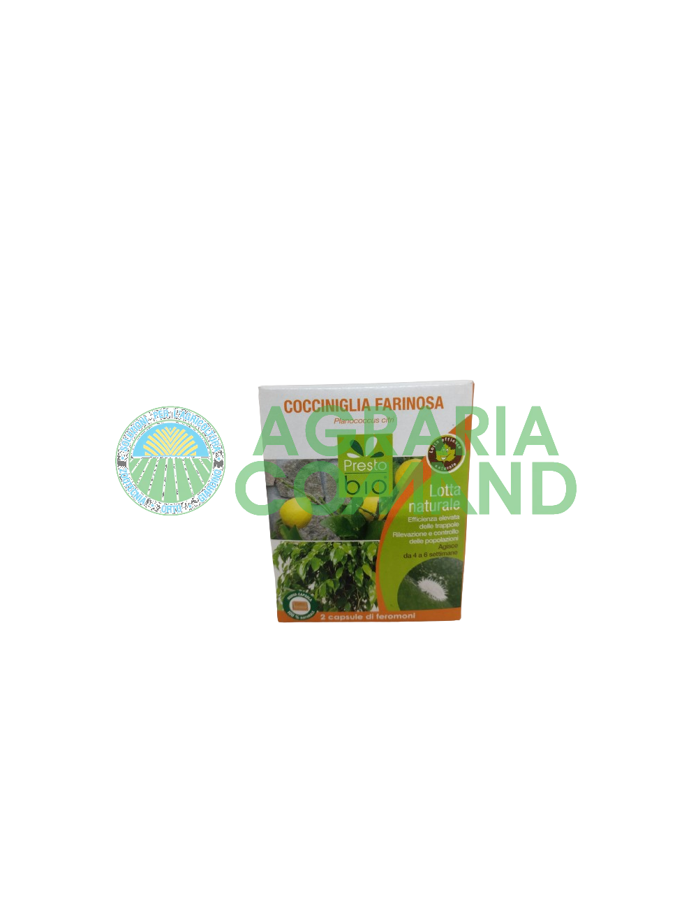 Capsules de phéromones contre les cochenilles farineuses Capsules de phéromones contre les cochenilles farineuses