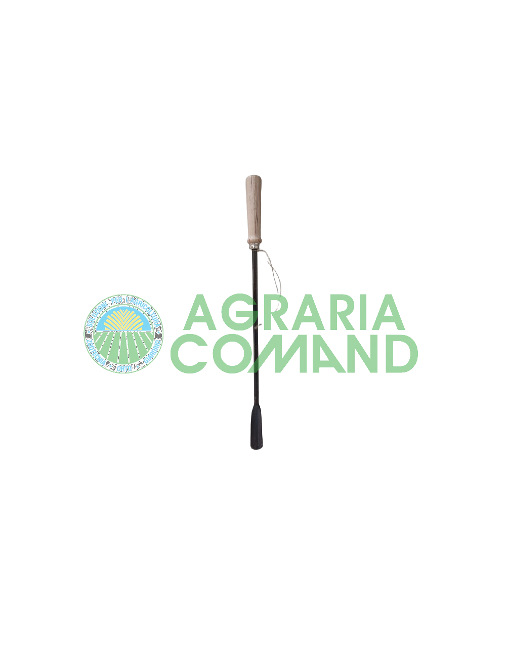 Asperges à levier de fer Asperges à levier de fer