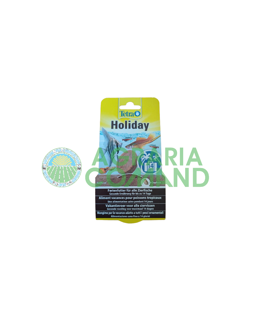 Aquarium Tetra Holiday