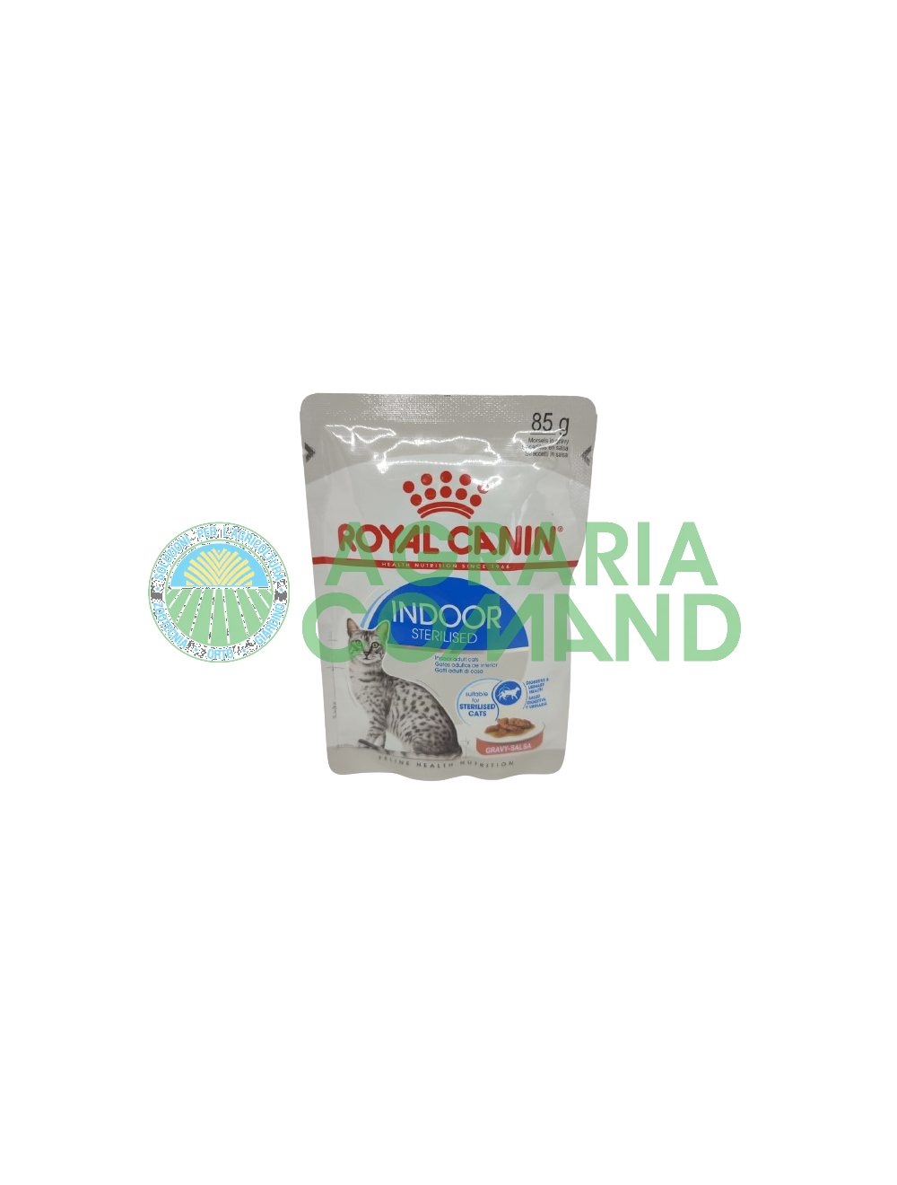 morsures de chats stérilisés d'intérieur morsures de chats stérilisés d'intérieur