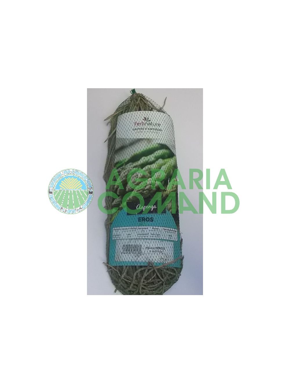 Pattes d'asperges vertes Eros