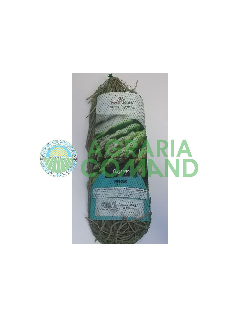 Asperges Eros Asperges Eros