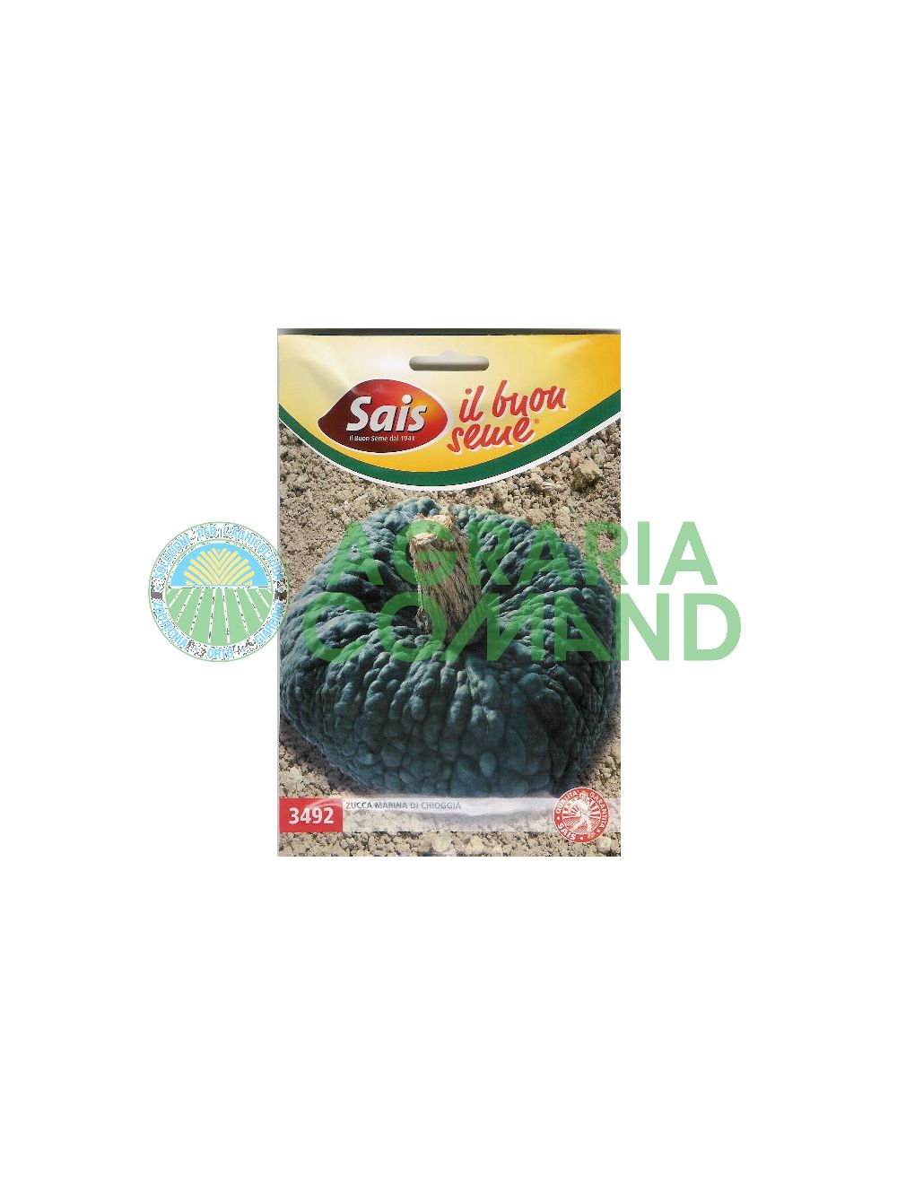 Zucca marina di chioggia