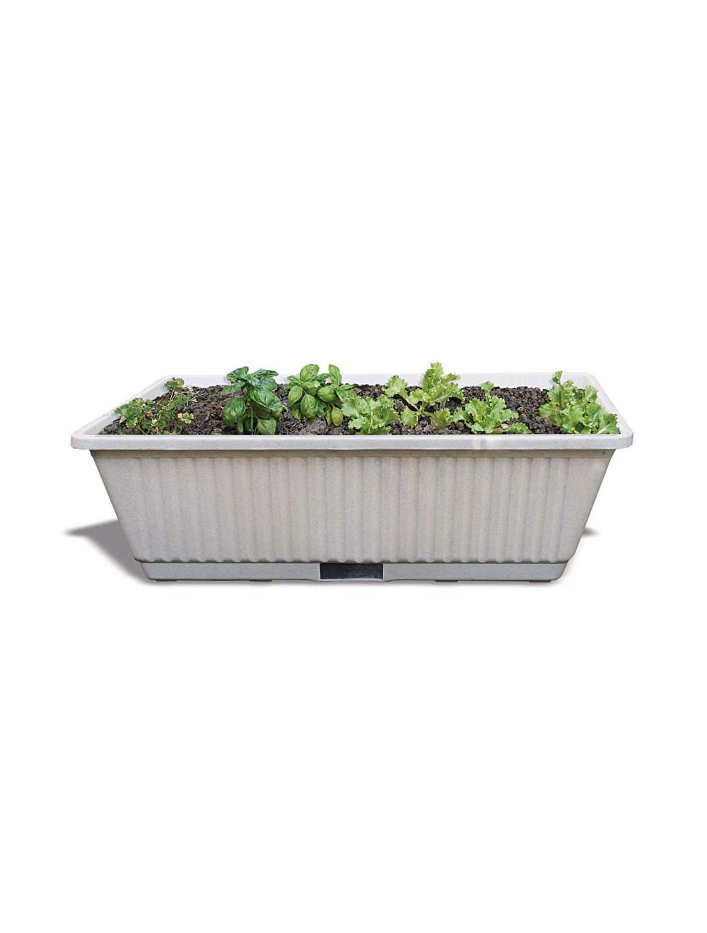 jardin potager