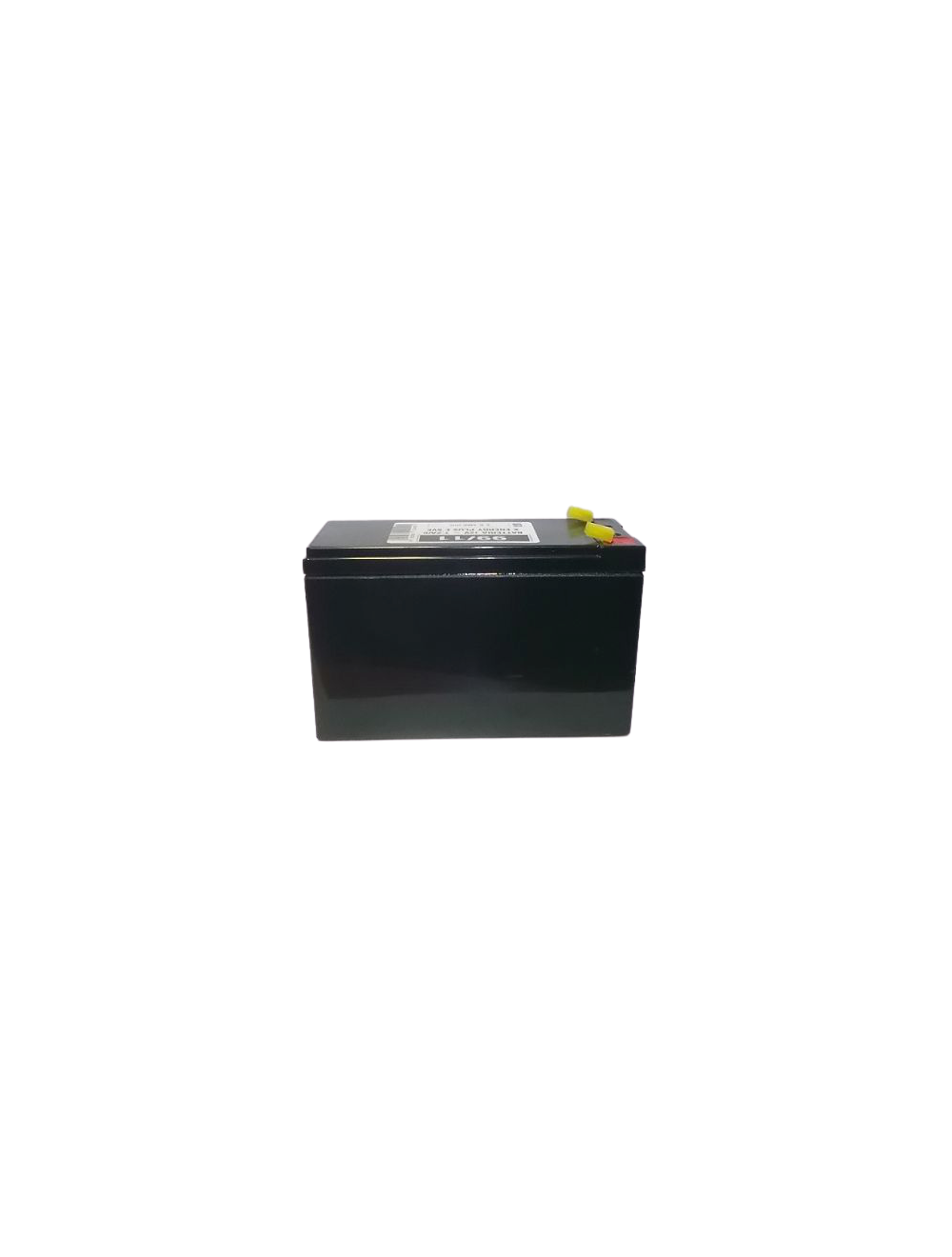 Batterie pour Elettroplus Volpi