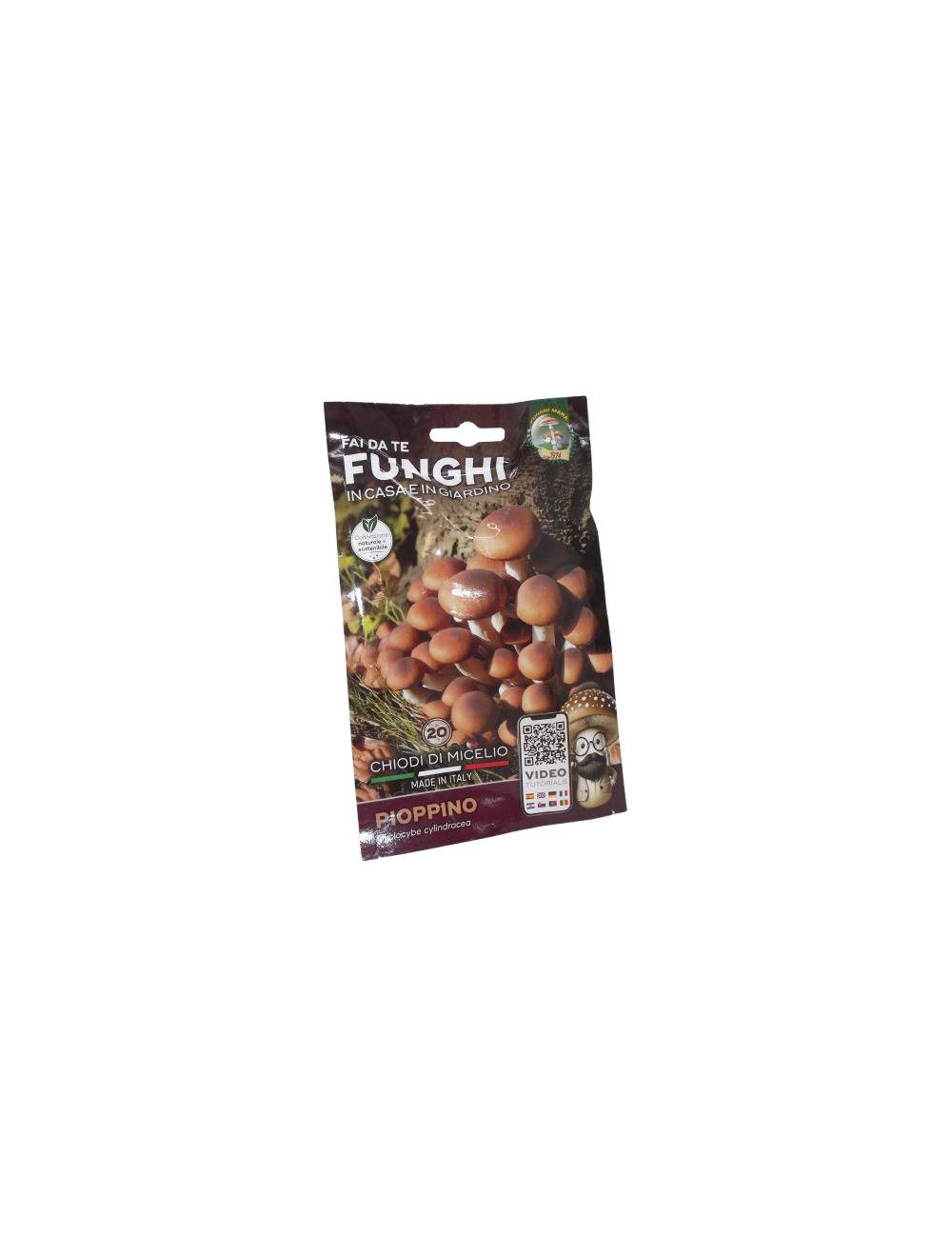 Champignons à mycélium de peuplier Champignons Mara Champignons à mycélium de peuplier Champignons Mara
