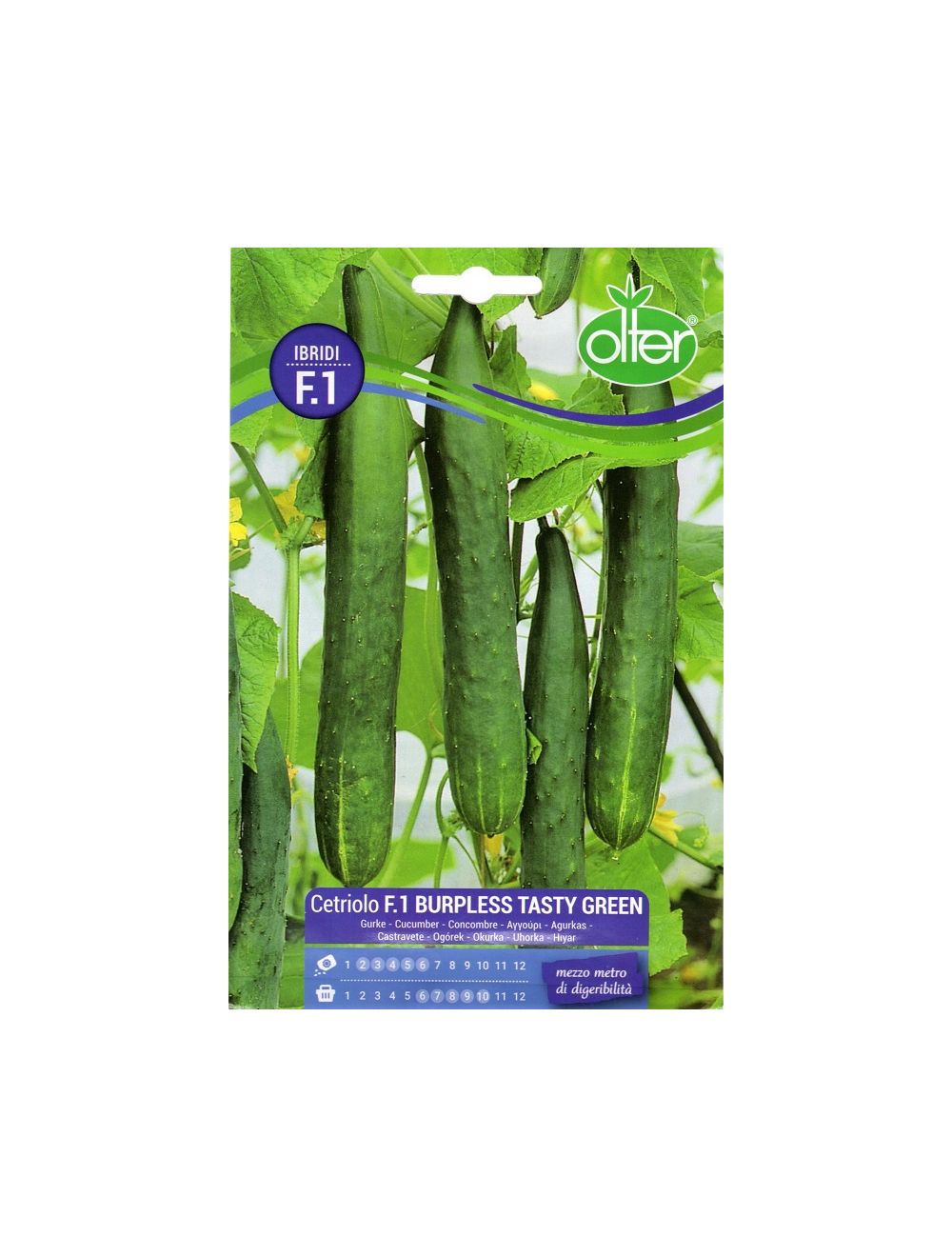 Concombre Burpless Tasty Green