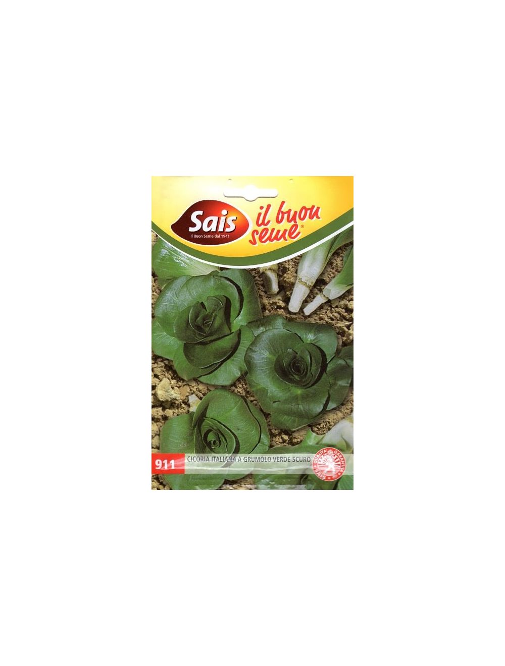 Chicorée vert foncé