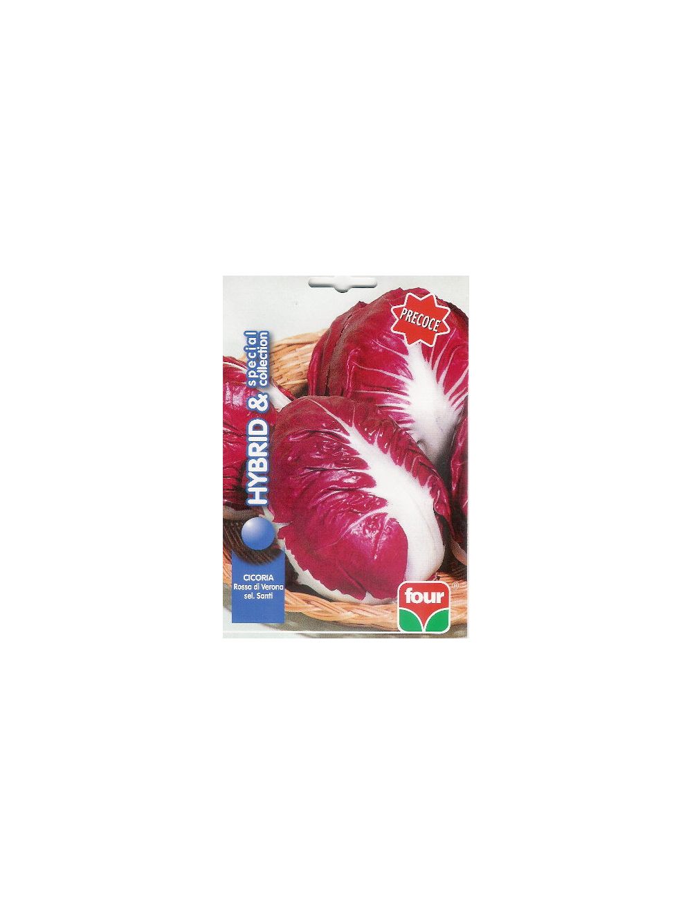 Sélection de chicorée de Vérone Santi