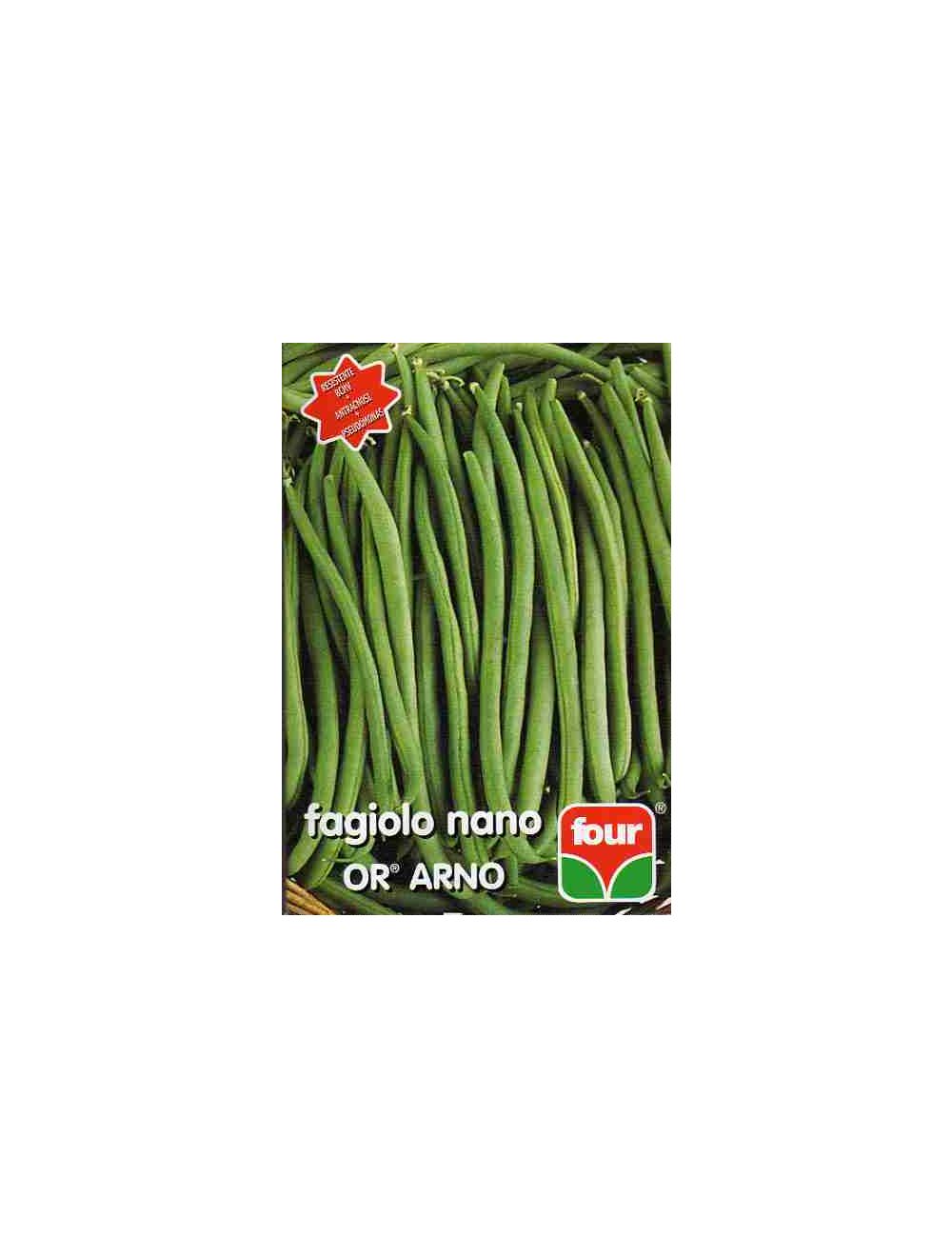 Haricot nain Quatre