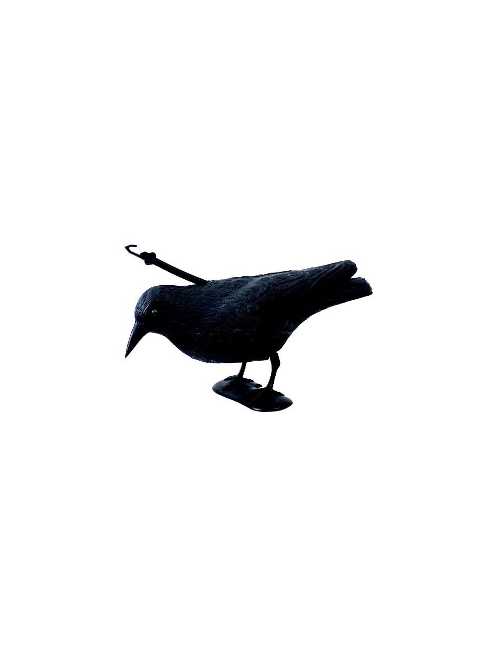 Epouvantail_raven