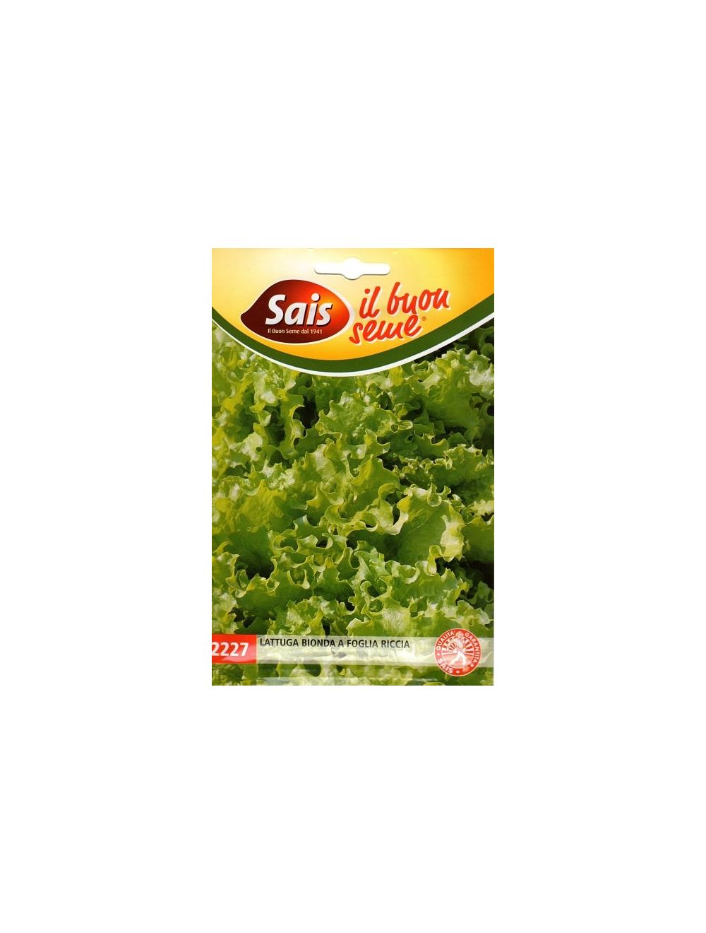 Laitue frisée blonde