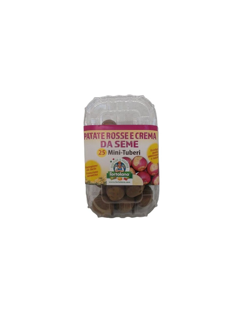 Pommes de terre de semence mini tubercules