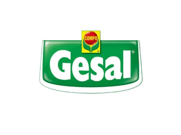Gesal